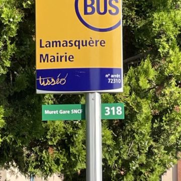 Ligne Tisseo 318